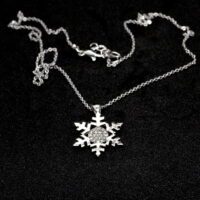 b2f8f92cf7254eac88dbbcaf52bc4968-toptan taki