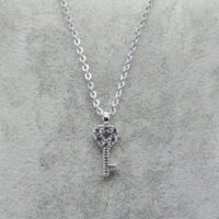 Toptan Gümüş Renk Zirkon Taşlı Anahtar Kolye 789