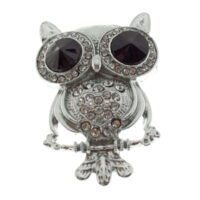 Toptan Gümüş Renk Siyah Göz Baykuş Model Broş - 1759