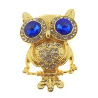 Toptan Altın Renk Mavi Göz Baykuş Model Broş - 1756