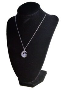 Toptan Gümüş Renk Hilal Çelik Kolye - 2423 5 454efb3a28cf45d5a00b565fdb212d81-toptan taki