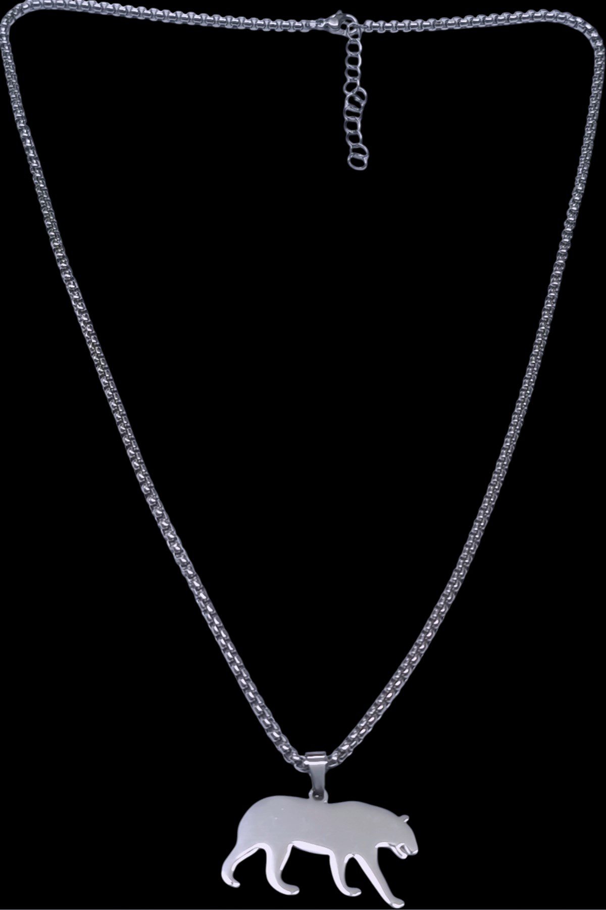 Toptan Gümüş Renk Puma Model Unisex Arnavut Zincir Çelik Kolye - 3308 5 Toptan Gümüş Renk Puma Model Unisex Arnavut Zincir Çelik Kolye - 3308 - Görsel 3