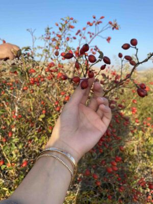 Müşteri yorum fotoğrafı
