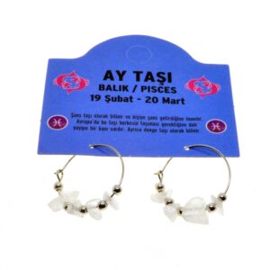 Toptan Doğaltaş Balık Burçu Ay Taşı Burç Küpe - 2332