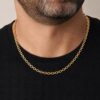 Toptan Altın Renk Ezme Zincir Unisex Çelik Kolye - 3917 1 e42b7959cfcb4364beb9f0d0d7f259fb-toptan taki